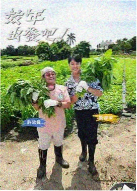 售楼小姐卖房的电影图鉴速览三